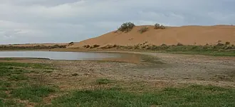 Ильменно-Бугровой заказник