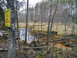 Крошнозерский родник