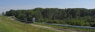 Михайловская роща