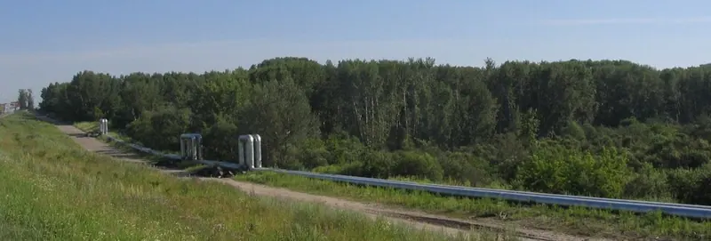 Михайловская роща