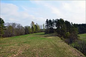 Острий (крепость)