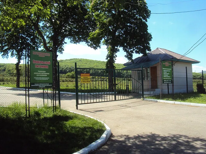 Перкальский дендрологический парк