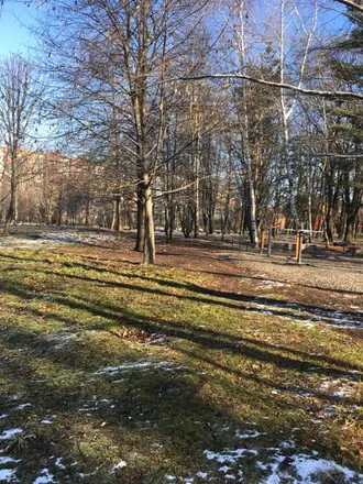 Комсомольский парк (Владикавказ)
