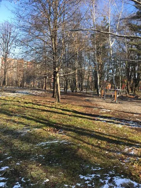 Комсомольский парк (Владикавказ)