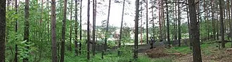 Тимирязевский бор — фото 4