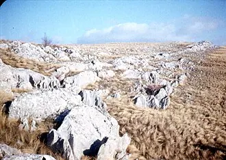 Урочище Караби-яйла