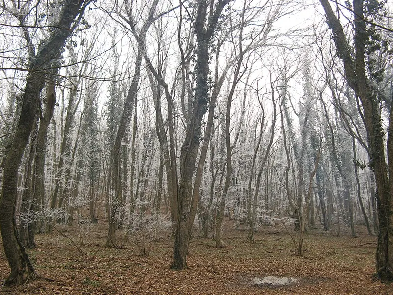 Урочище Кубалач