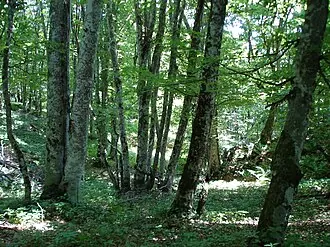 Гора Каратау — фото 2