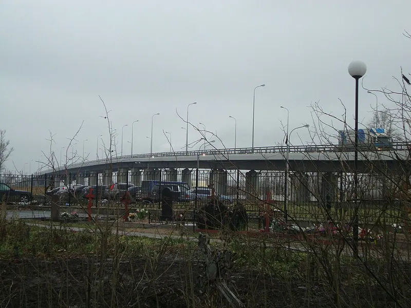 Митрофаньевский путепровод