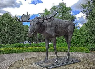 Лось (скульптура, Советск)