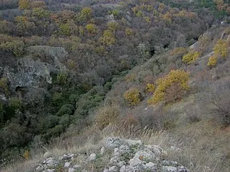 Урочище Карасу-Баши