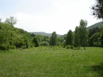 Урочище Карасу-Баши — фото 4