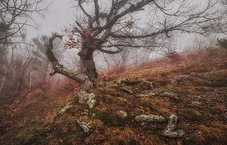 Урочище Демерджи — фото 4
