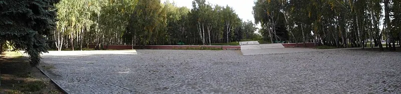 Лесное кладбище (Челябинск)