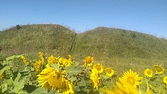 Ош-Пандо