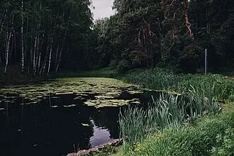 Алтуфьевский лесопарк