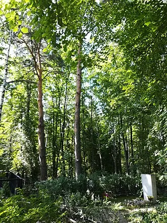 Переделкинское кладбище — фото 2