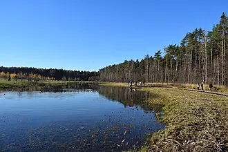 Мещерский природный парк