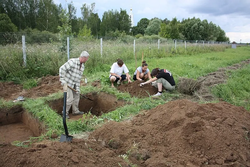 Дубна (городище)