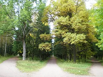 Сильвия (парк)