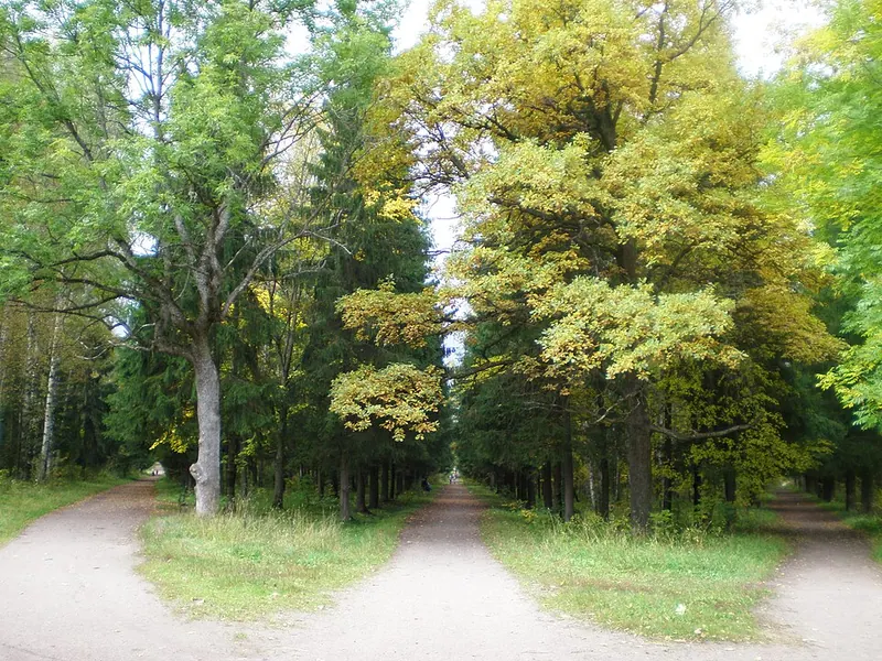 Сильвия (парк)