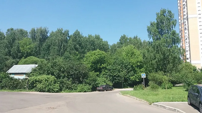 Медведковский лесопарк