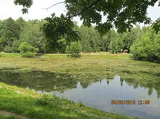 Лианозовский лесопарк