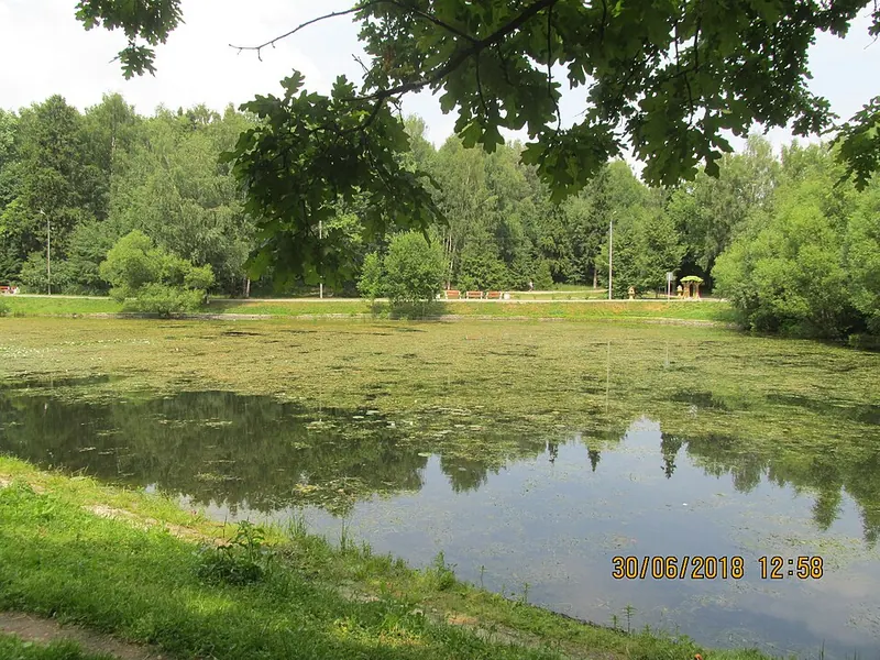 Лианозовский лесопарк