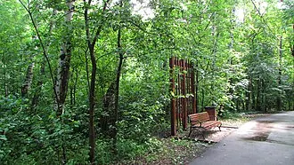 Лианозовский лесопарк — фото 2
