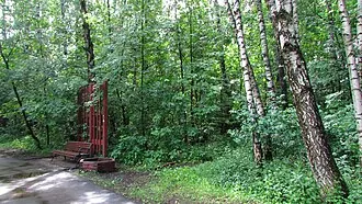 Лианозовский лесопарк — фото 4