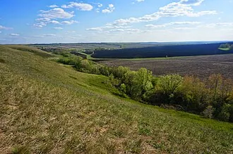Овраг Верховой