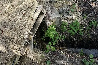 Родник в окрестностях села Чубовка — фото 4
