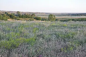 Ингулец (заказник)