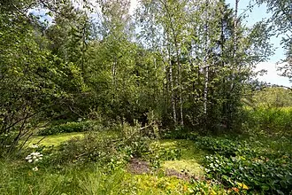 Болото Сётка — фото 2