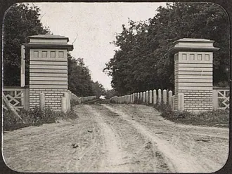 Винновская роща — фото 2