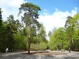 Щукинский лесопарк