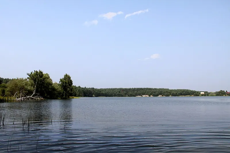 Гавринское