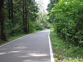 Одинцовский парк культуры, спорта и отдыха