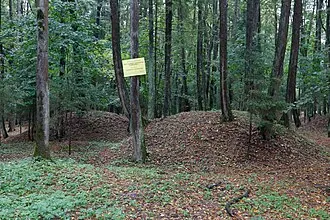 Одинцовский парк культуры, спорта и отдыха — фото 2
