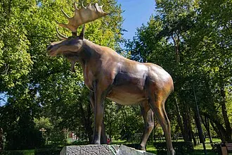 Торфянка (парк)