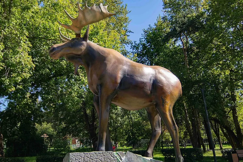 Торфянка (парк)