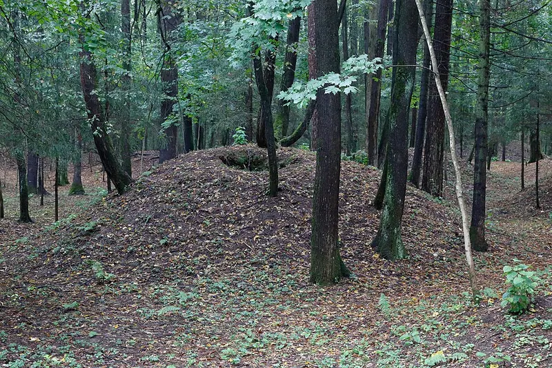 Одинцовские курганы