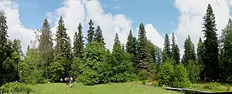 Макариевская пустынь (Соловецкий монастырь) — фото 3