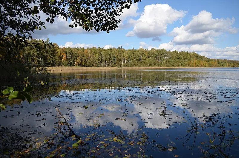 Сегдено