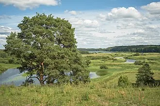 Савкина Горка — фото 4