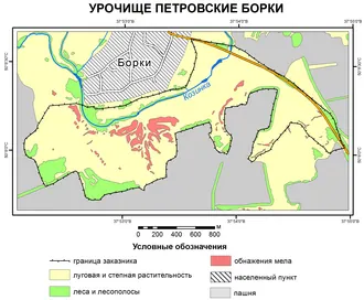 Борки (урочище) — фото 2