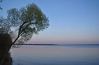 Сиг (озеро)