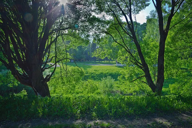 Парк Мира (Вологда)