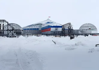 Арктический трилистник — фото 2