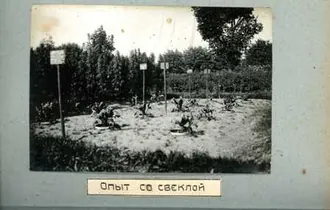 Биологический музей имени К. А. Тимирязева — фото 3